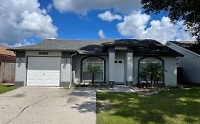 Cozy 3 Bedroom Home Close To Everything In Tampa!