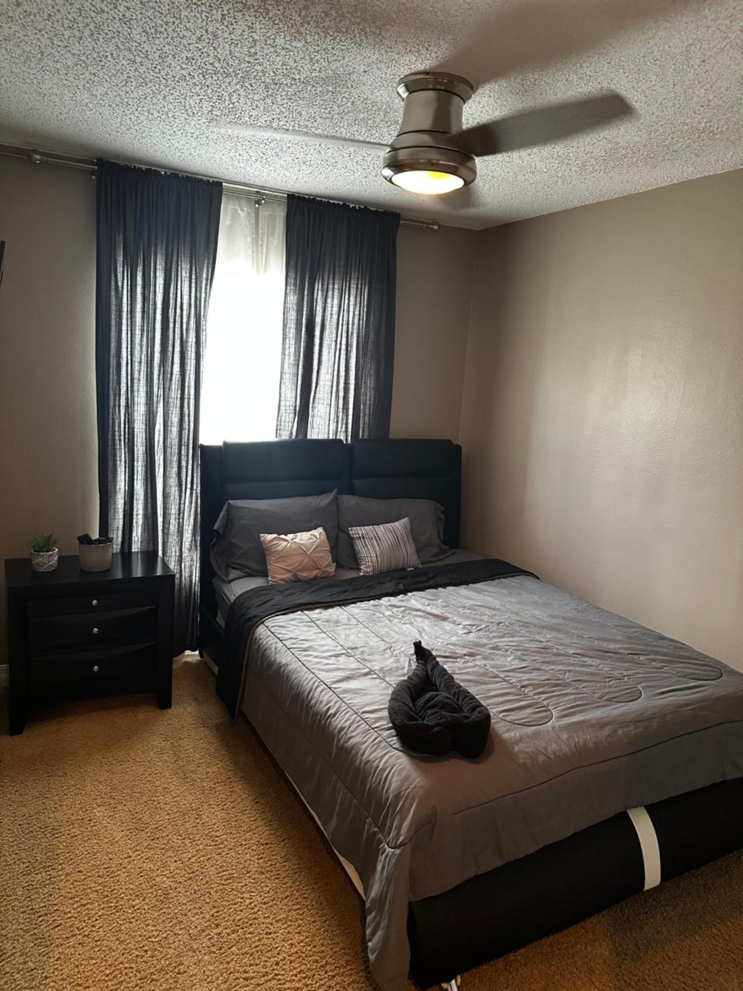Cozy 3 Bedroom Home Close To Everything In Tampa! Exterior photo